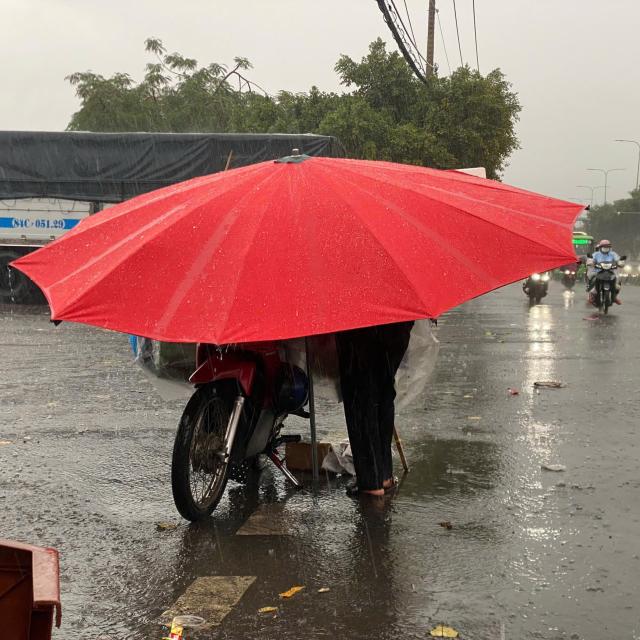 Cyclist using umbrella in heavy rainfall in Vietnam